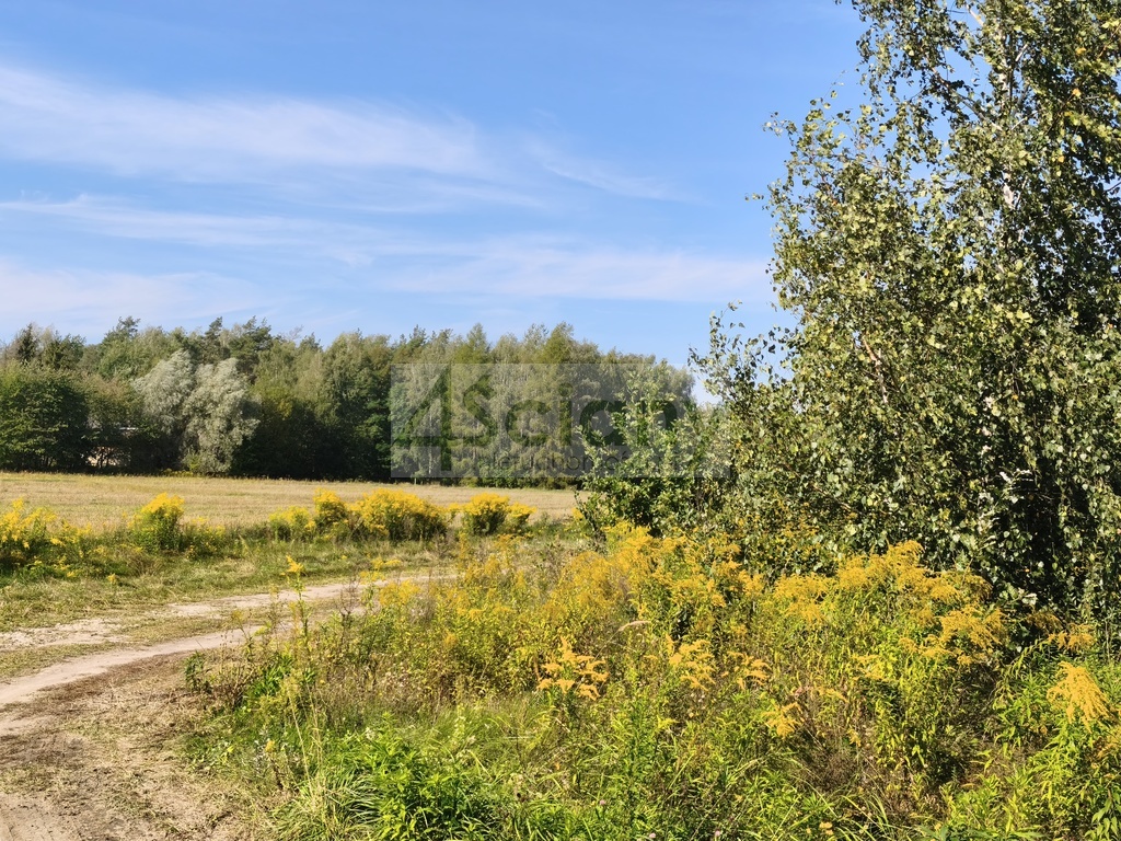 Działka budowlana 1643&nbsp;m², Zaręby - zdjęcie 2