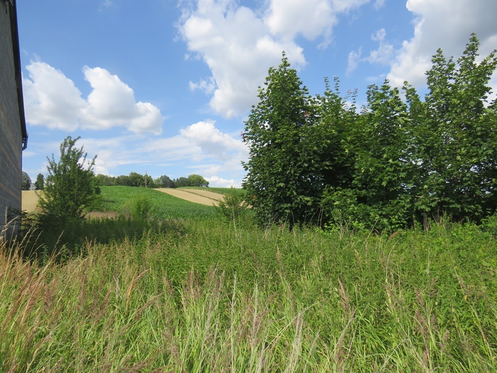 Działka budowlana 1566&nbsp;m², Proszowice - zdjęcie 1