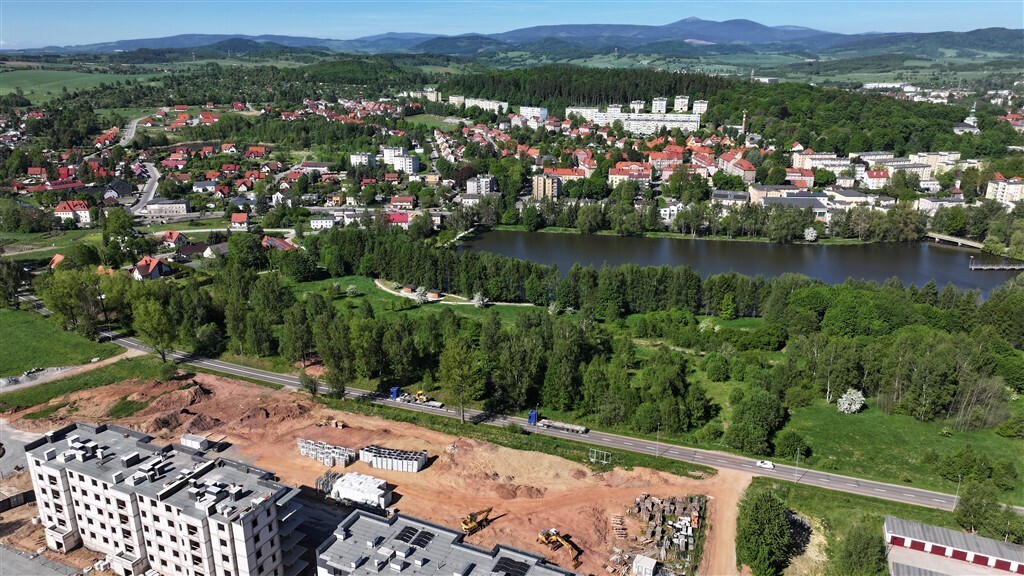 Działka budowlana 1,99&nbsp;ha, Kamienna Góra, Leśna - zdjęcie 8
