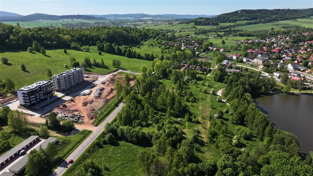 Działka budowlana 1,99&nbsp;ha, Kamienna Góra, Leśna - zdjęcie 11