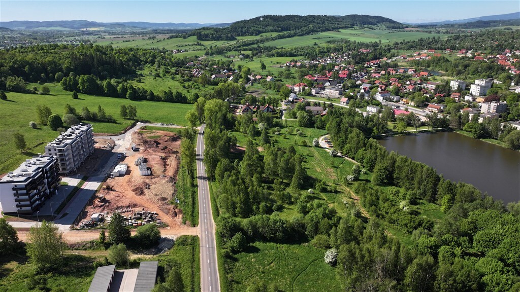 Działka budowlana 1,99&nbsp;ha, Kamienna Góra, Leśna - zdjęcie 10