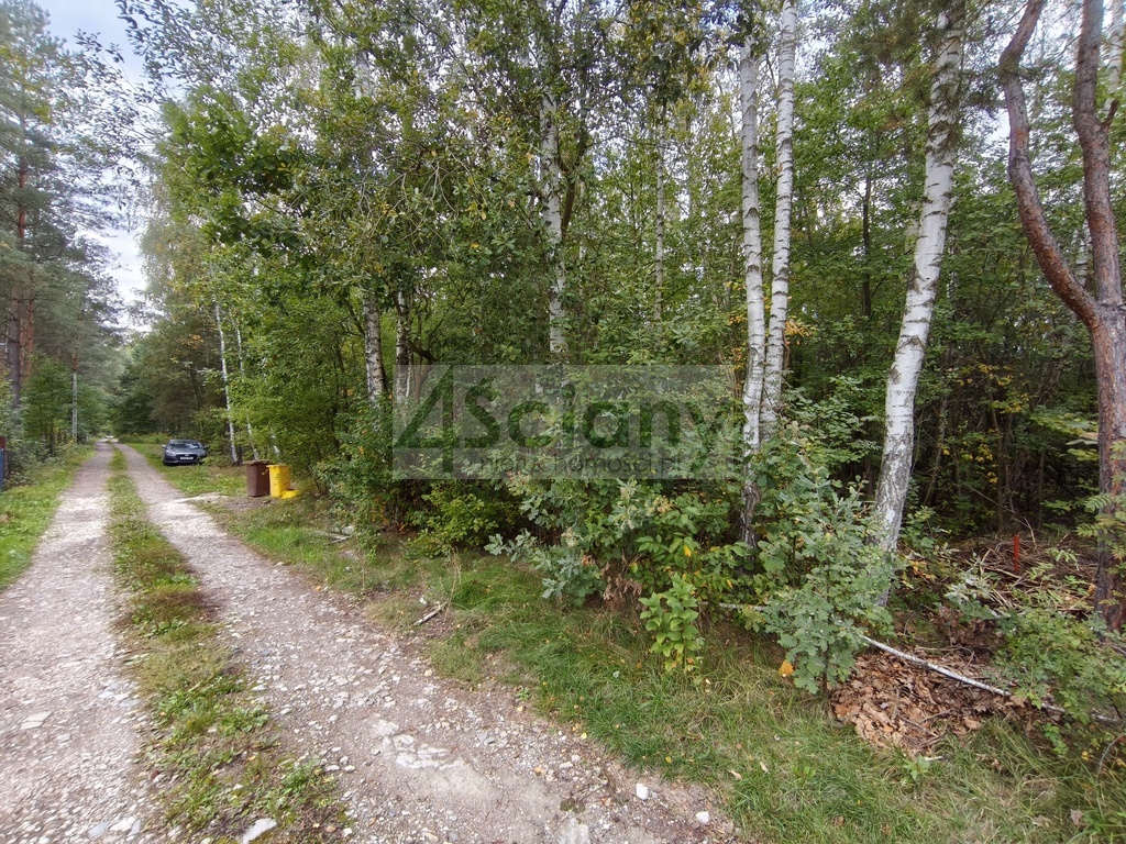 Działka rolna 4511 m², Wycinki Osowskie - zdjęcie 3