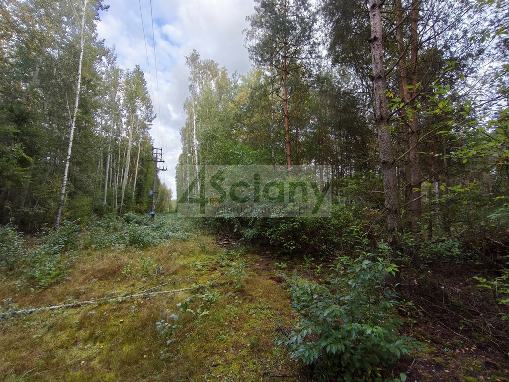 Działka rolna 4511 m², Wycinki Osowskie - zdjęcie 6