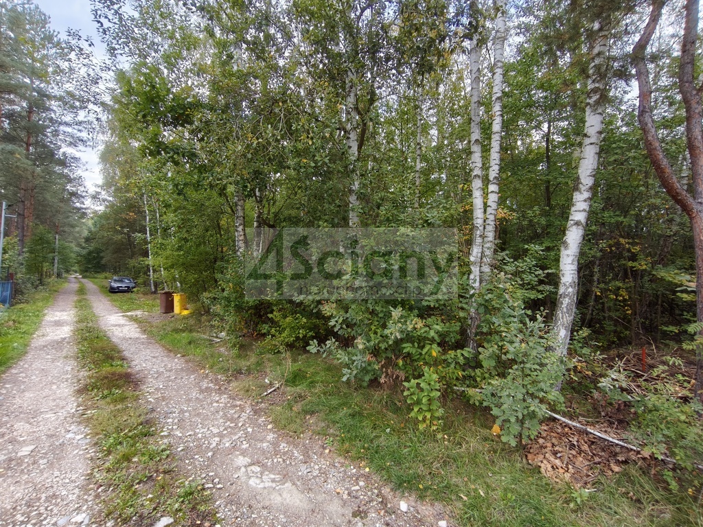 Działka rolna 4511 m², Wycinki Osowskie - zdjęcie 4