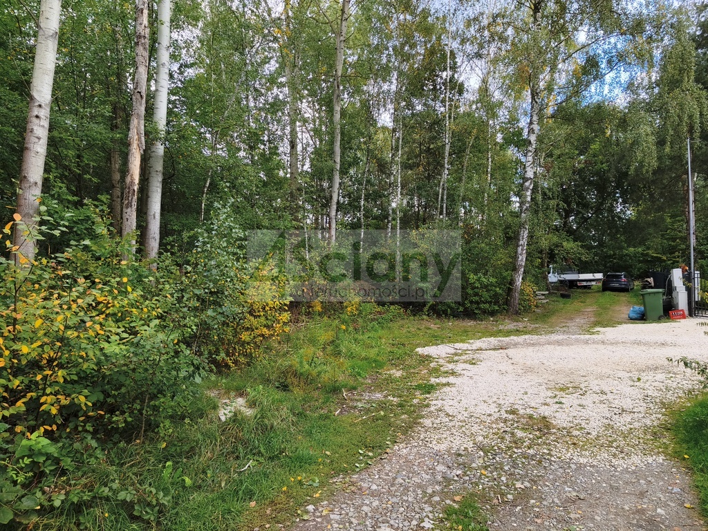 Działka rolna 4511 m², Wycinki Osowskie - zdjęcie 2