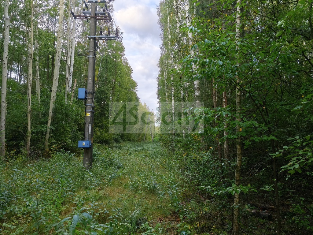 Działka rolna 4511 m², Wycinki Osowskie - zdjęcie 7