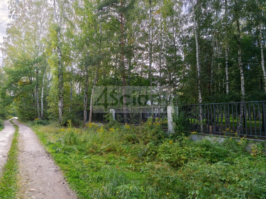Działka rolna 4511 m², Wycinki Osowskie - zdjęcie 9