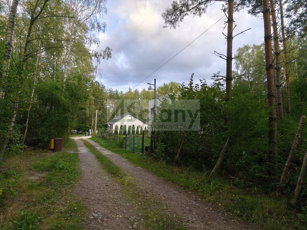Działka rolna 4511 m², Wycinki Osowskie - zdjęcie 10