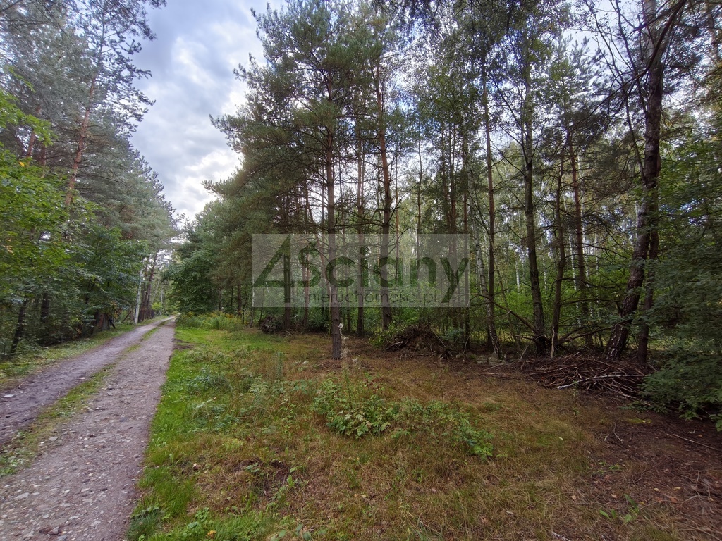 Działka rolna 4511 m², Wycinki Osowskie - zdjęcie 5