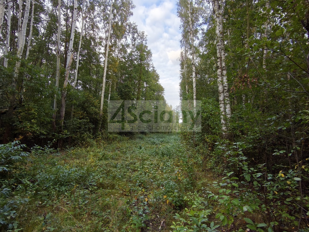 Działka rolna 4511 m², Wycinki Osowskie - zdjęcie 1