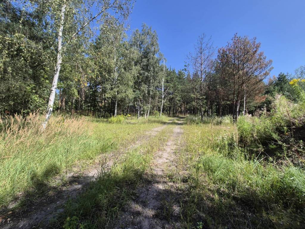 Działka budowlana 8221 m², Bieganów - zdjęcie 5