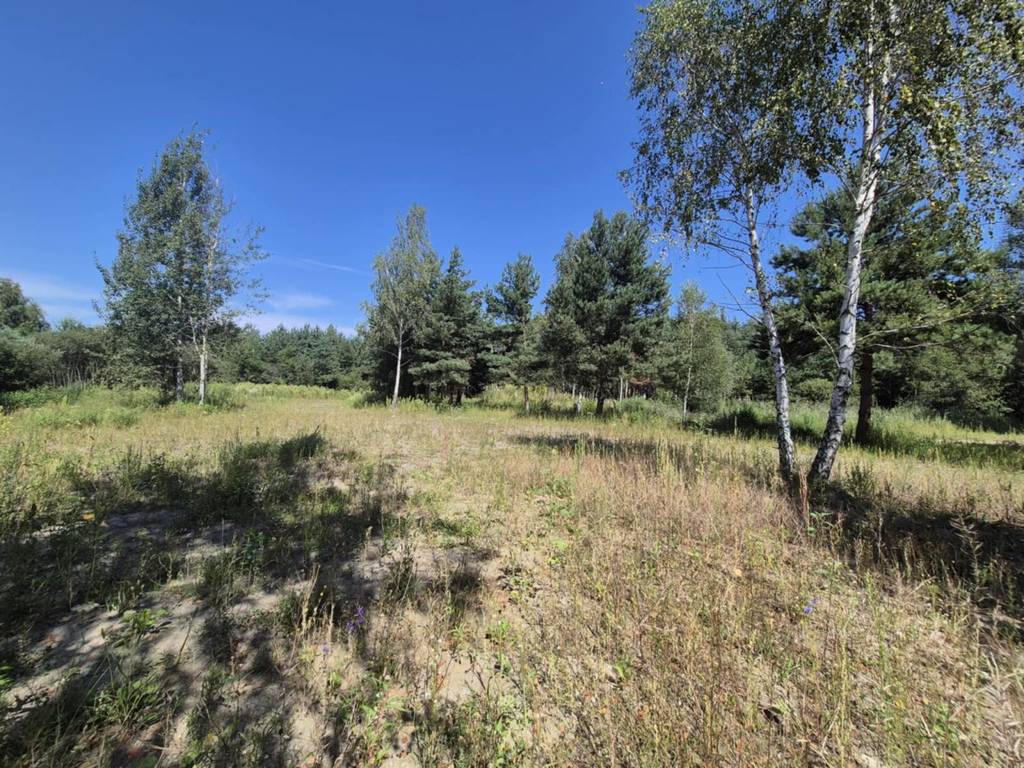 Działka budowlana 8221 m², Bieganów - zdjęcie 4