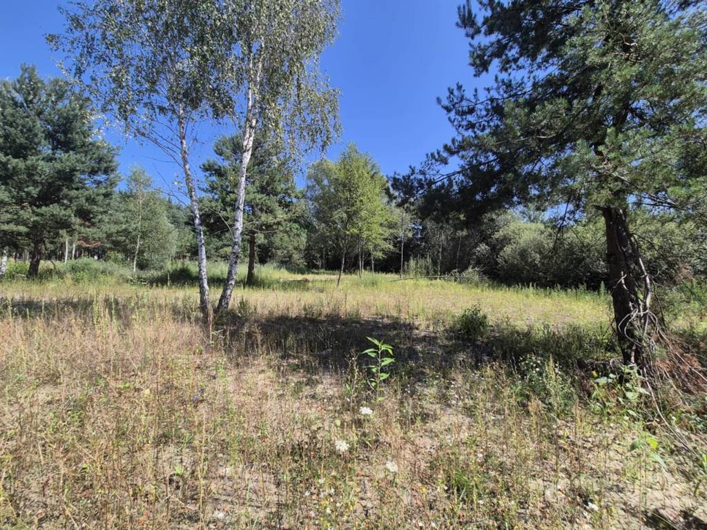 Działka budowlana 8221 m², Bieganów - zdjęcie 2