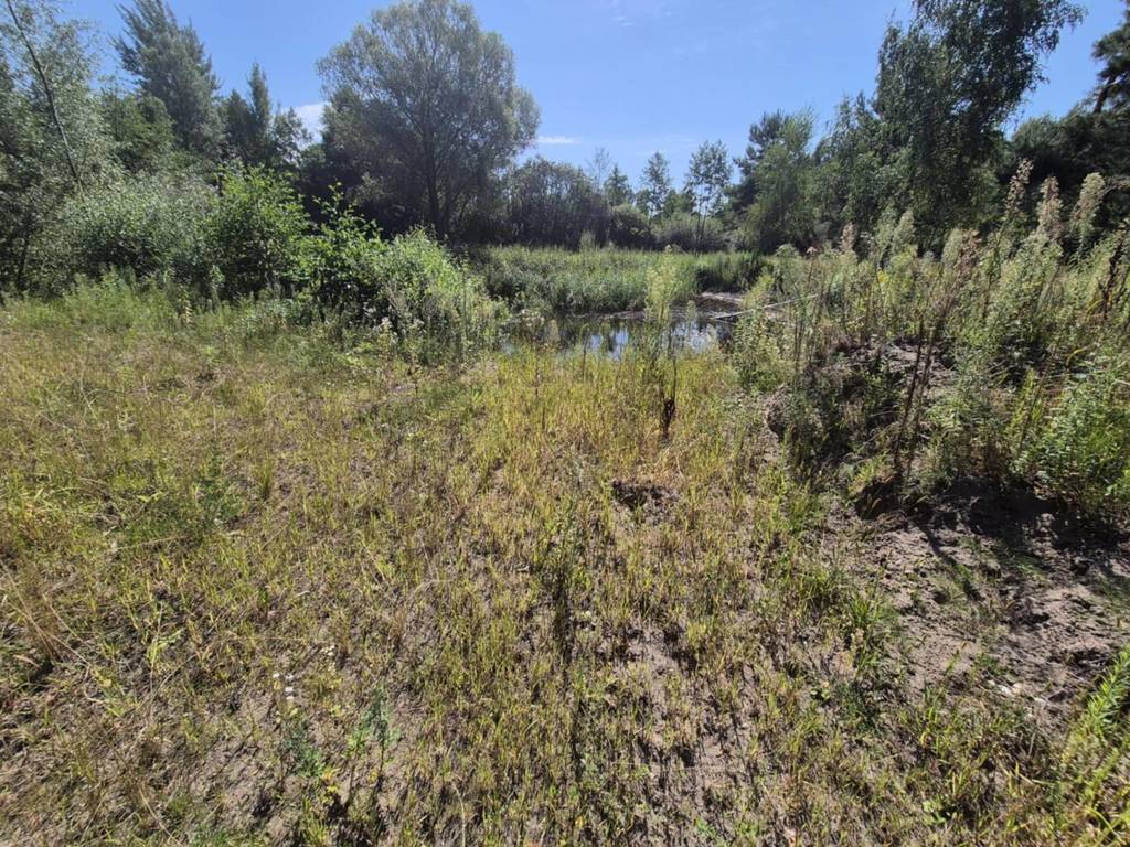 Działka budowlana 8221 m², Bieganów - zdjęcie 3