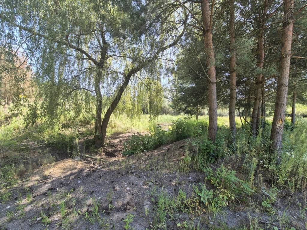 Działka budowlana 8221 m², Bieganów - zdjęcie 8