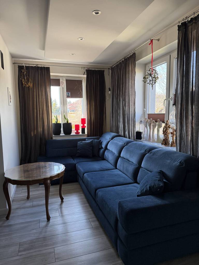 Lokal usługowy na sprzedaż, 321&nbsp;m², Dwikozy, Sandomierska - zdjęcie 1