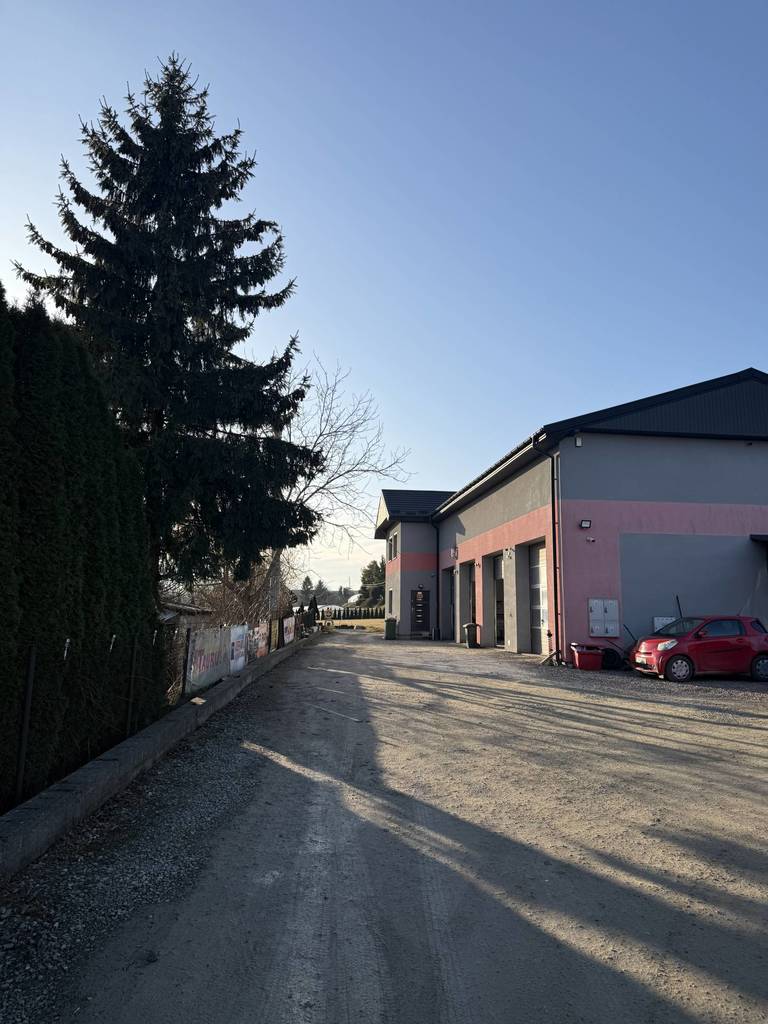 Lokal usługowy na sprzedaż, 321&nbsp;m², Dwikozy, Sandomierska - zdjęcie 8