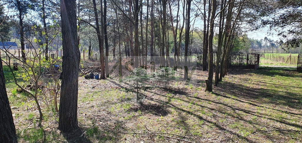 Działka budowlana 4462&nbsp;m², Orzeszyn - zdjęcie 1
