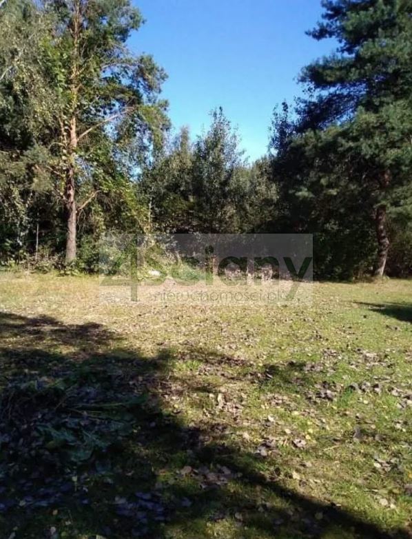 Działka budowlana 4462&nbsp;m², Orzeszyn - zdjęcie 3
