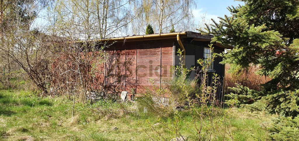 Działka budowlana 4462&nbsp;m², Orzeszyn - zdjęcie 9