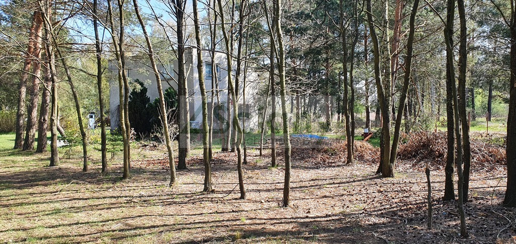 Działka budowlana 4462&nbsp;m², Orzeszyn - zdjęcie 7