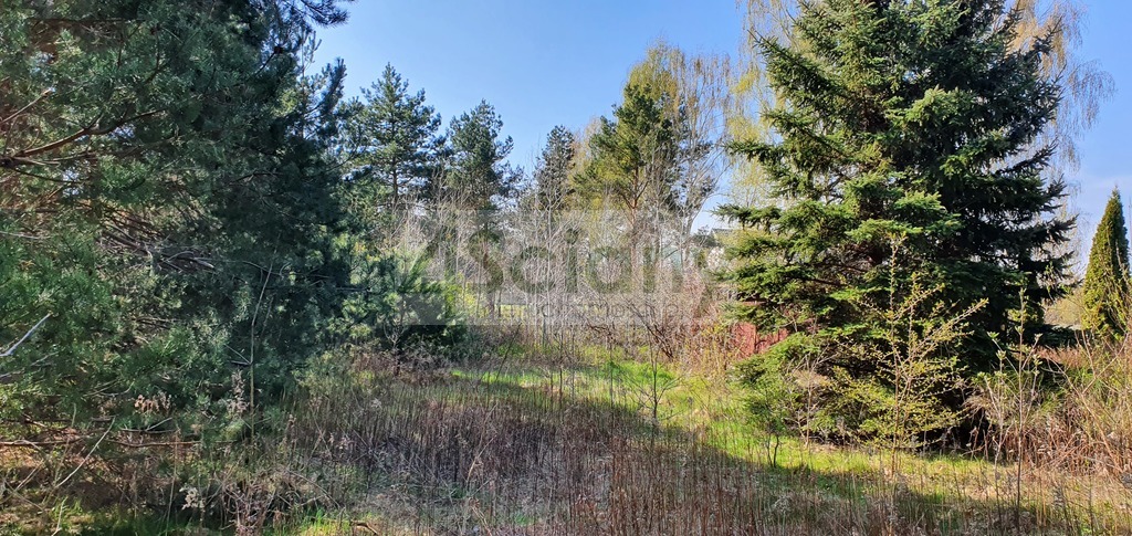 Działka budowlana 4462&nbsp;m², Orzeszyn - zdjęcie 8