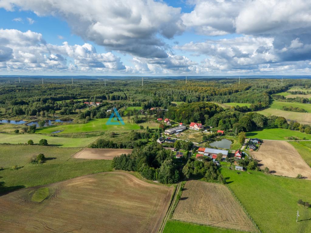 Nieruchomość rolna w ciągłej uprawie -Dretynek - zdjęcie 25