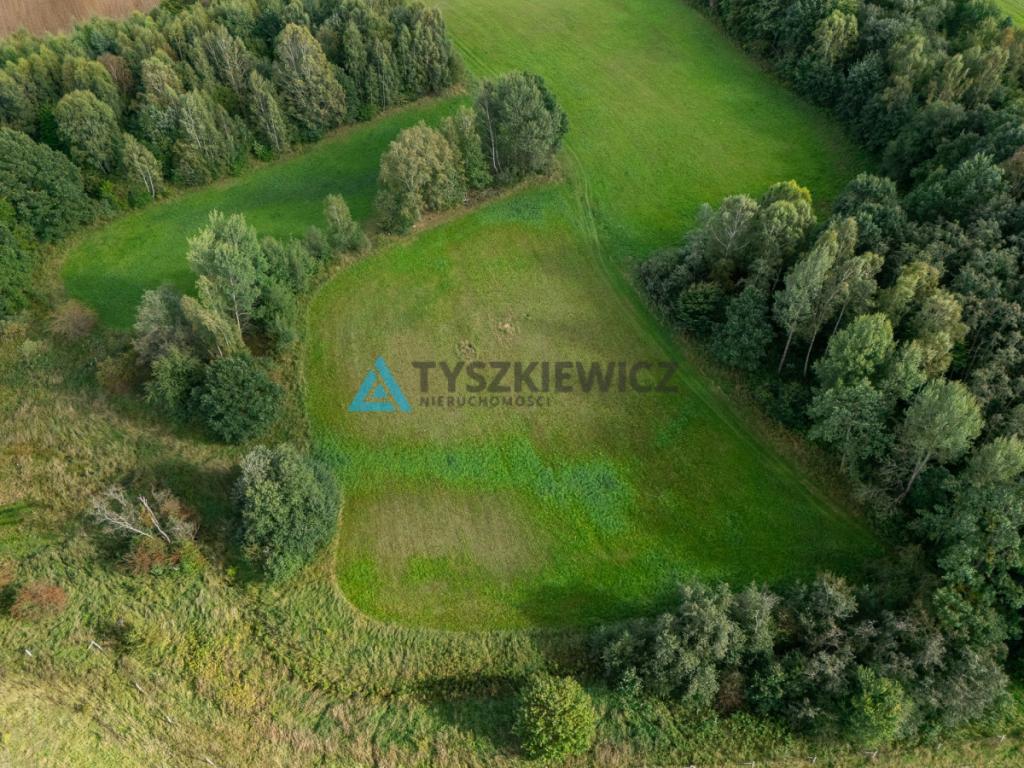 Nieruchomość rolna w ciągłej uprawie -Dretynek - zdjęcie 22