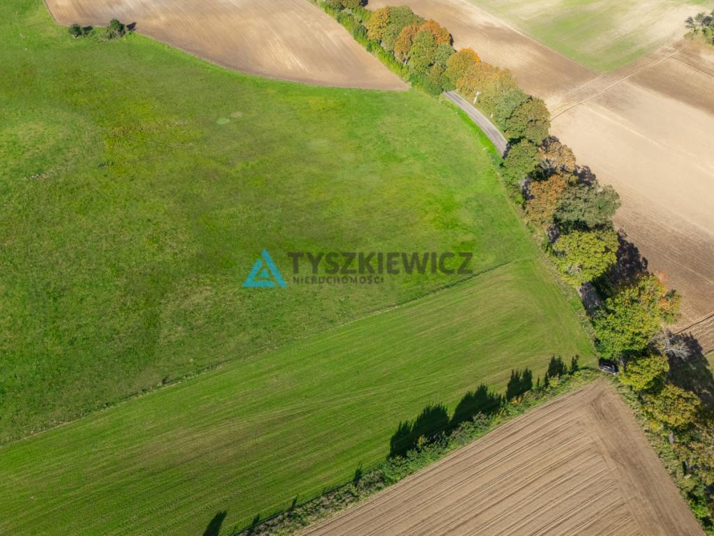 Nieruchomość rolna w ciągłej uprawie -Dretynek - zdjęcie 26