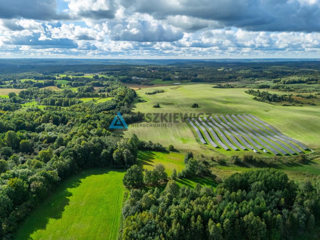 Nieruchomość rolna w ciągłej uprawie -Dretynek - zdjęcie 18