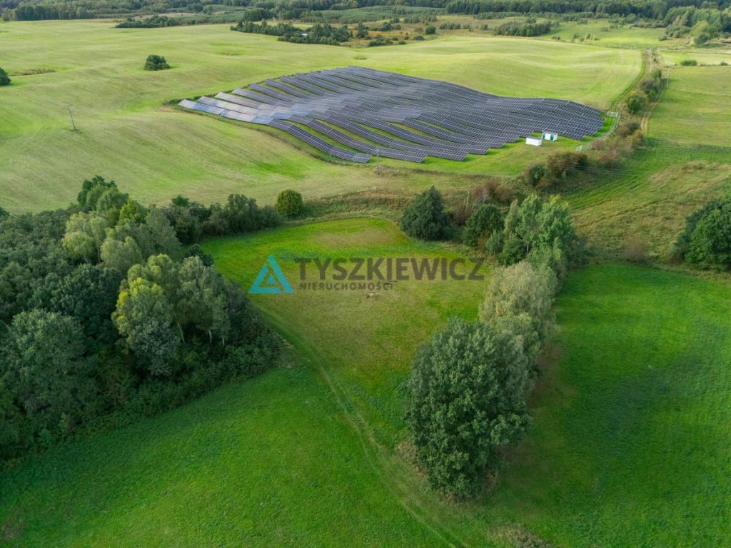 Nieruchomość rolna w ciągłej uprawie -Dretynek - zdjęcie 13