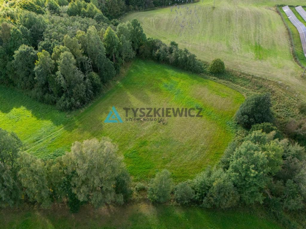 Nieruchomość rolna w ciągłej uprawie -Dretynek - zdjęcie 23