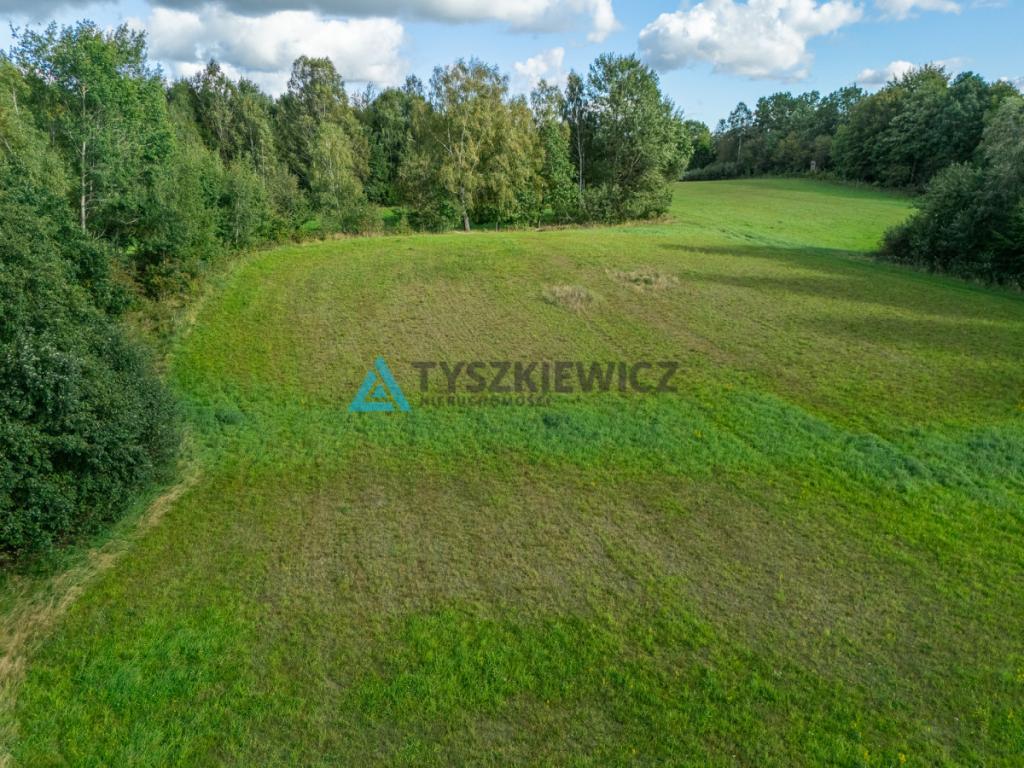 Nieruchomość rolna w ciągłej uprawie -Dretynek - zdjęcie 11