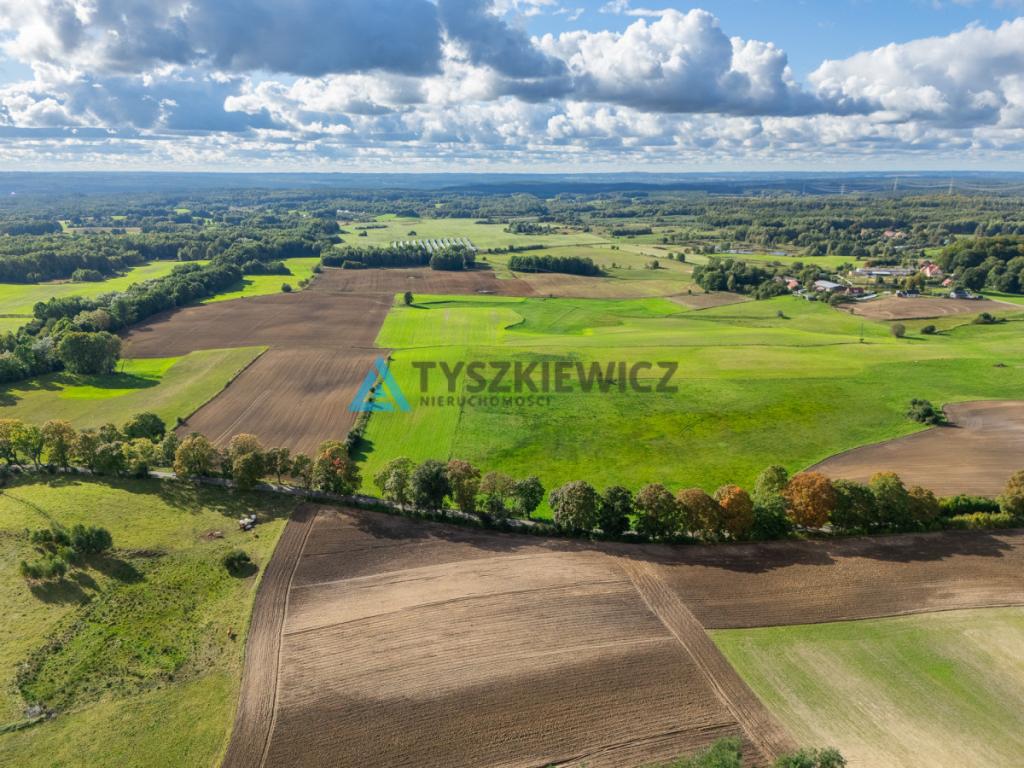 Nieruchomość rolna w ciągłej uprawie -Dretynek - zdjęcie 9