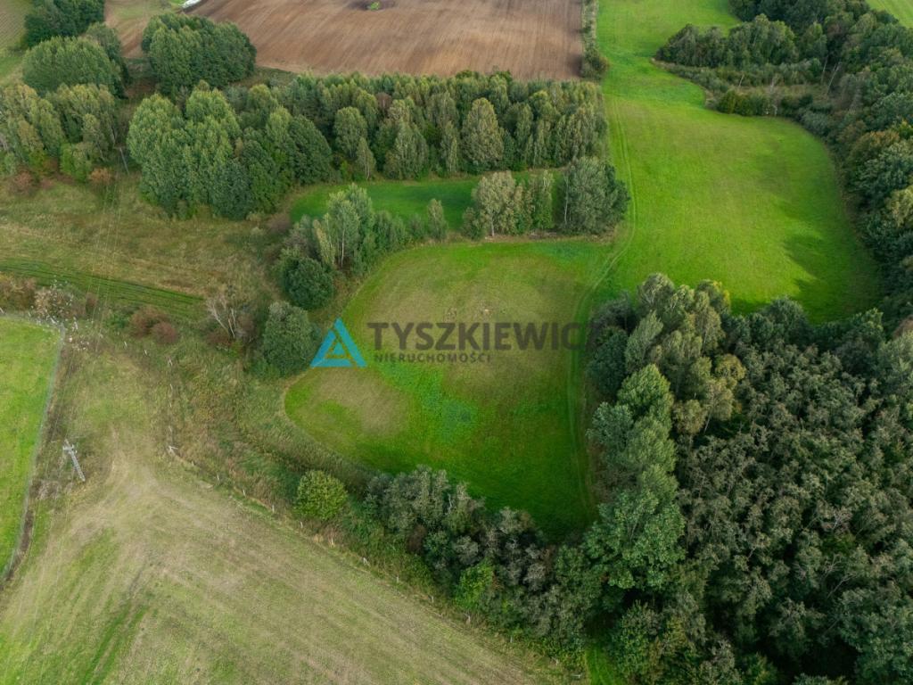 Nieruchomość rolna w ciągłej uprawie -Dretynek - zdjęcie 21