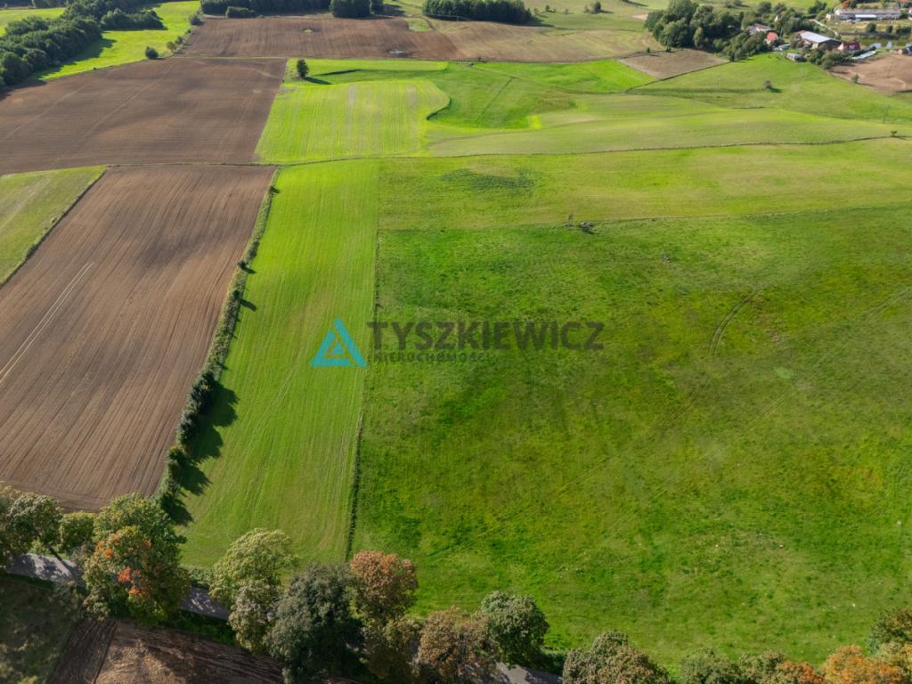 Nieruchomość rolna w ciągłej uprawie -Dretynek - zdjęcie 7