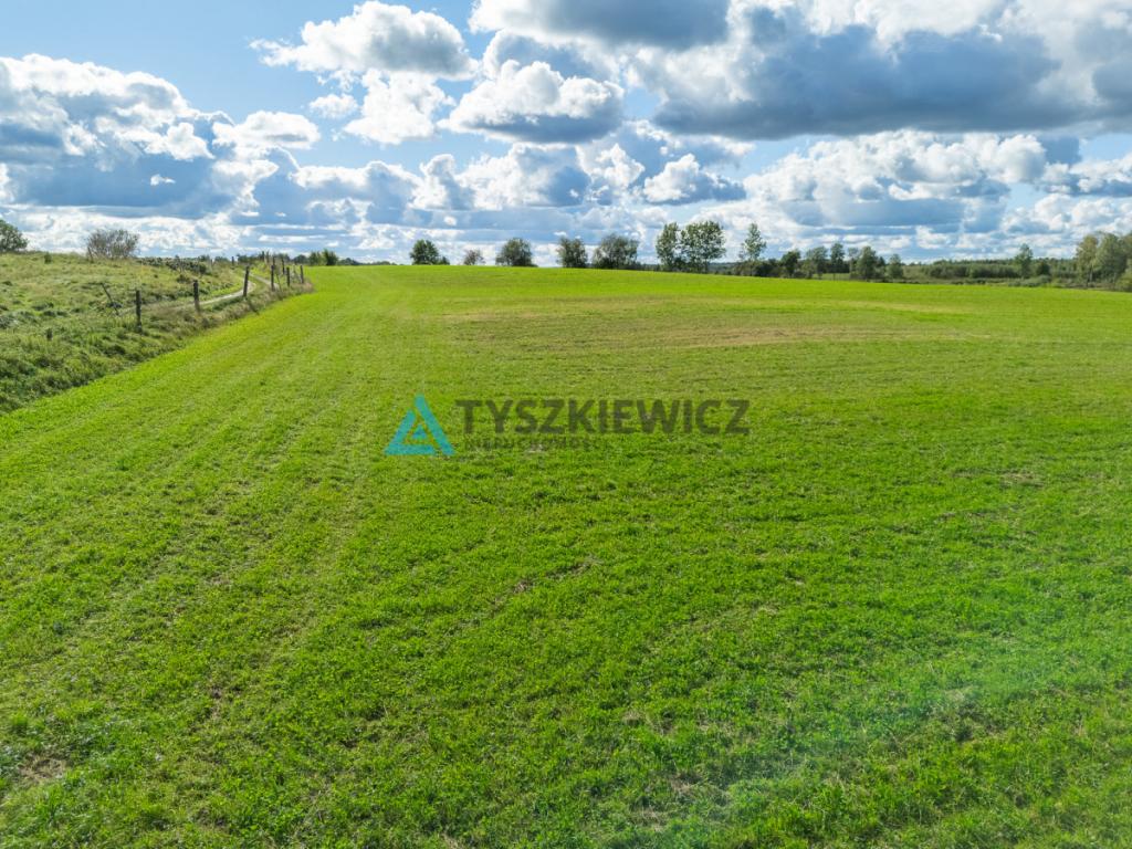 Nieruchomość rolna w ciągłej uprawie -Dretynek - zdjęcie 4
