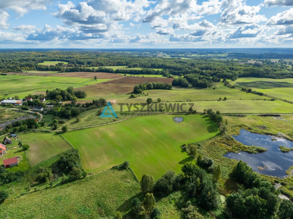 Nieruchomość rolna w ciągłej uprawie -Dretynek - zdjęcie 6