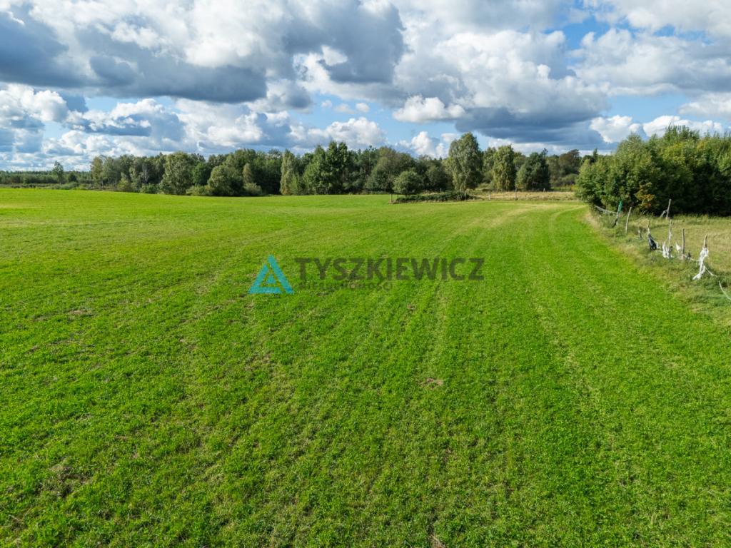 Nieruchomość rolna w ciągłej uprawie -Dretynek - zdjęcie 5