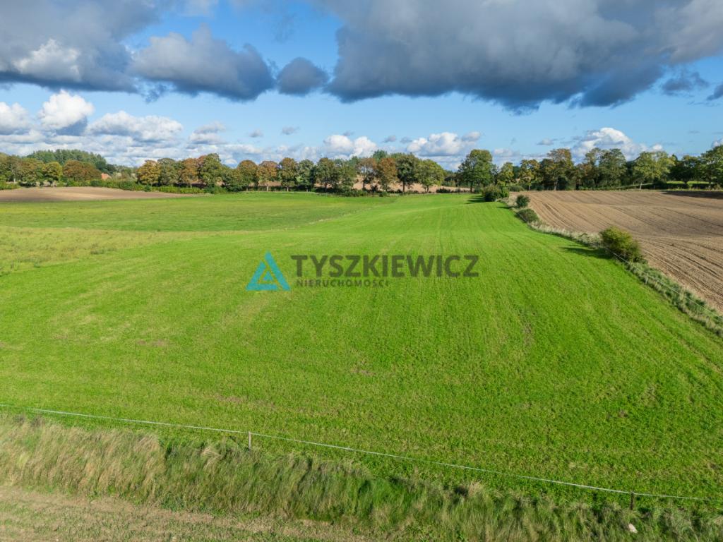 Nieruchomość rolna w ciągłej uprawie -Dretynek - zdjęcie 8