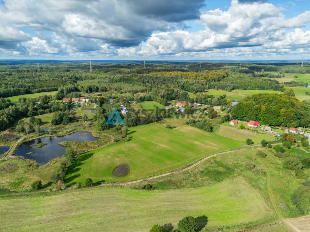 Nieruchomość rolna w ciągłej uprawie -Dretynek - zdjęcie 3