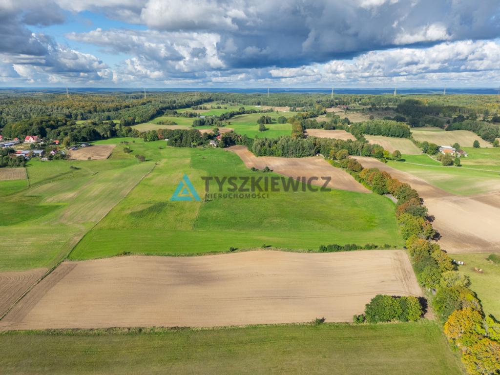 Nieruchomość rolna w ciągłej uprawie -Dretynek - zdjęcie 24
