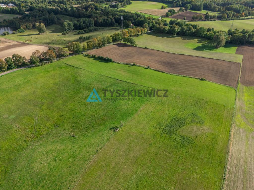 Nieruchomość rolna w ciągłej uprawie -Dretynek - zdjęcie 29