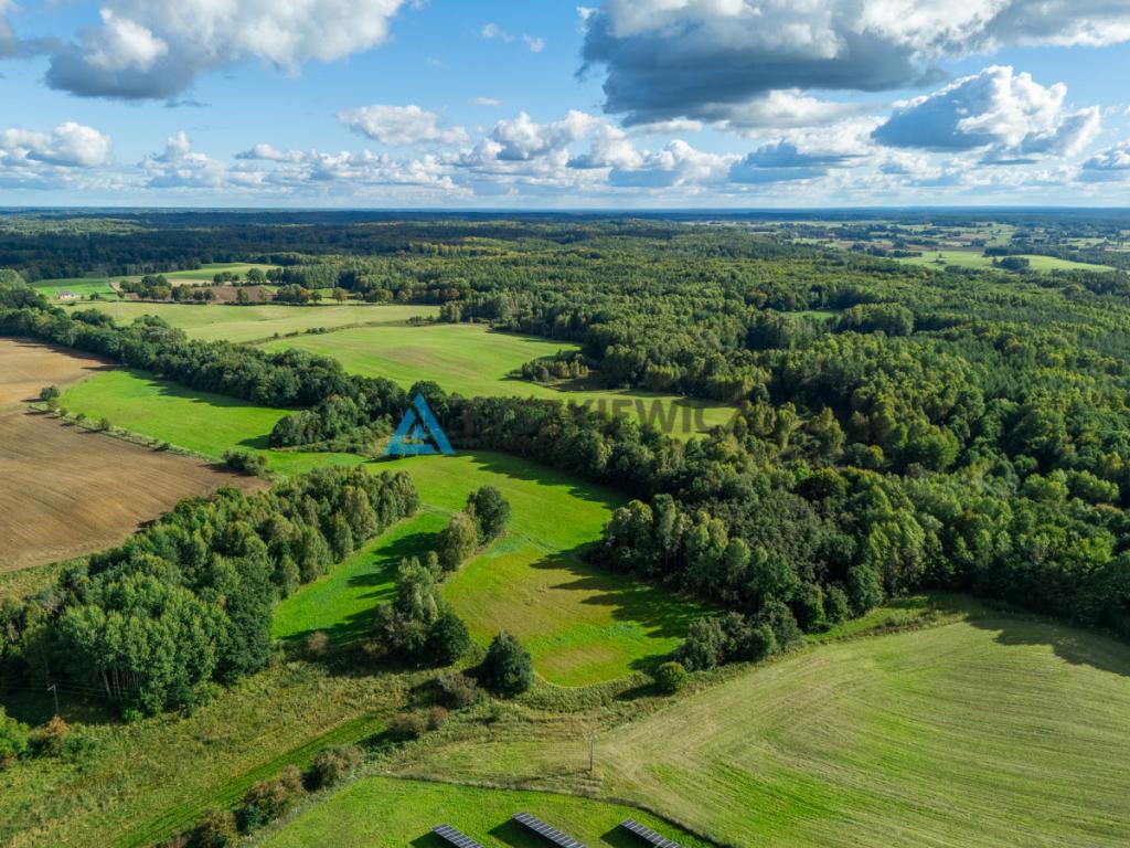 Nieruchomość rolna w ciągłej uprawie -Dretynek - zdjęcie 7