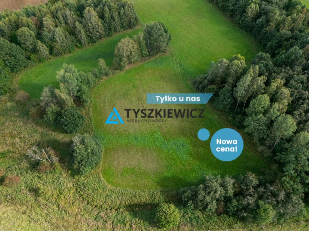 Nieruchomość rolna w ciągłej uprawie -Dretynek - zdjęcie 1