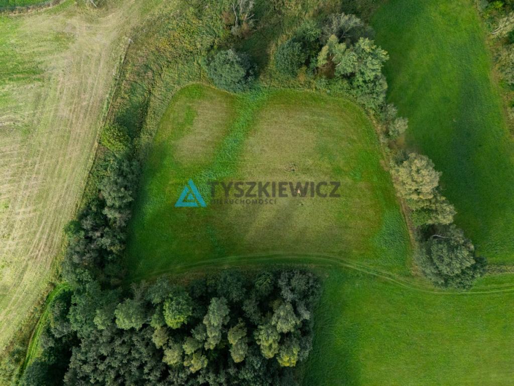 Nieruchomość rolna w ciągłej uprawie -Dretynek - zdjęcie 12