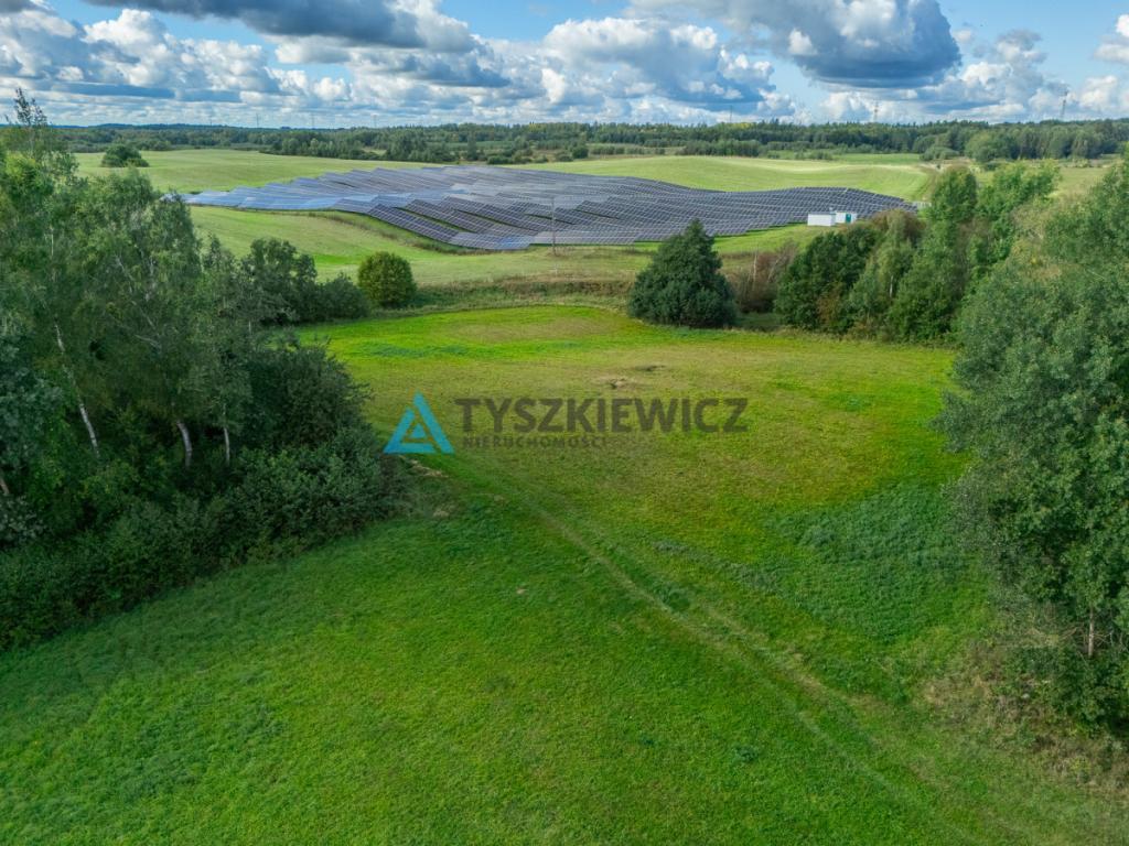 Nieruchomość rolna w ciągłej uprawie -Dretynek - zdjęcie 13
