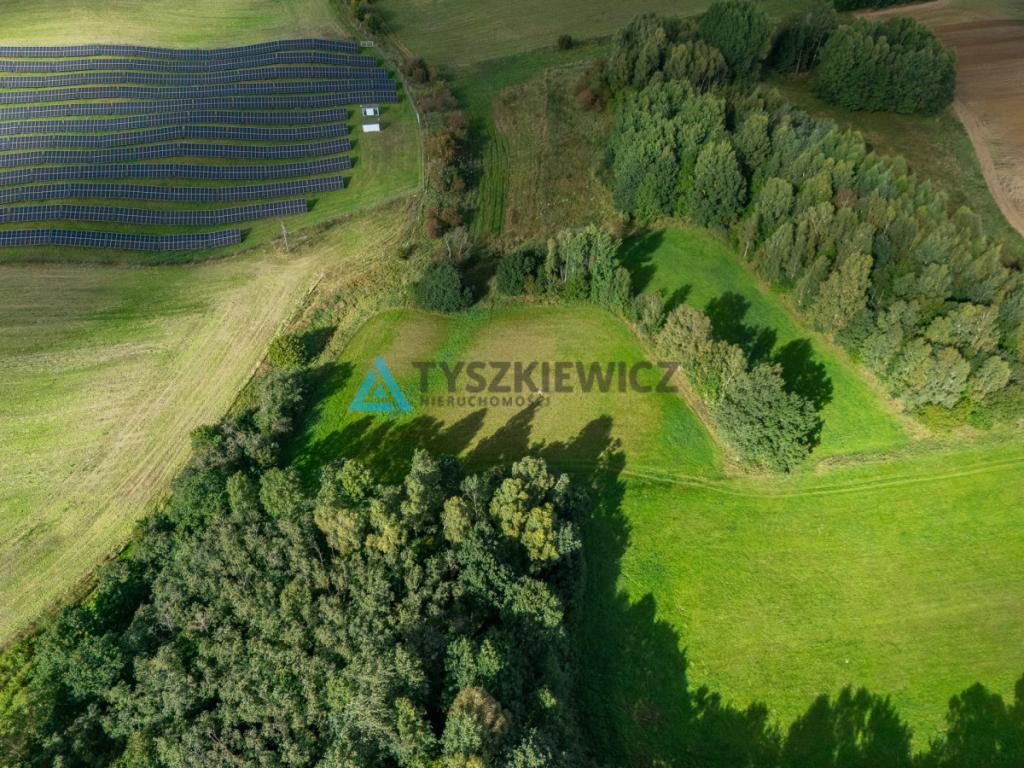 Nieruchomość rolna w ciągłej uprawie -Dretynek - zdjęcie 11