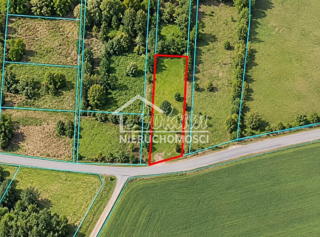 Działka rolna 1000&nbsp;m², Trzebieradz - zdjęcie 1