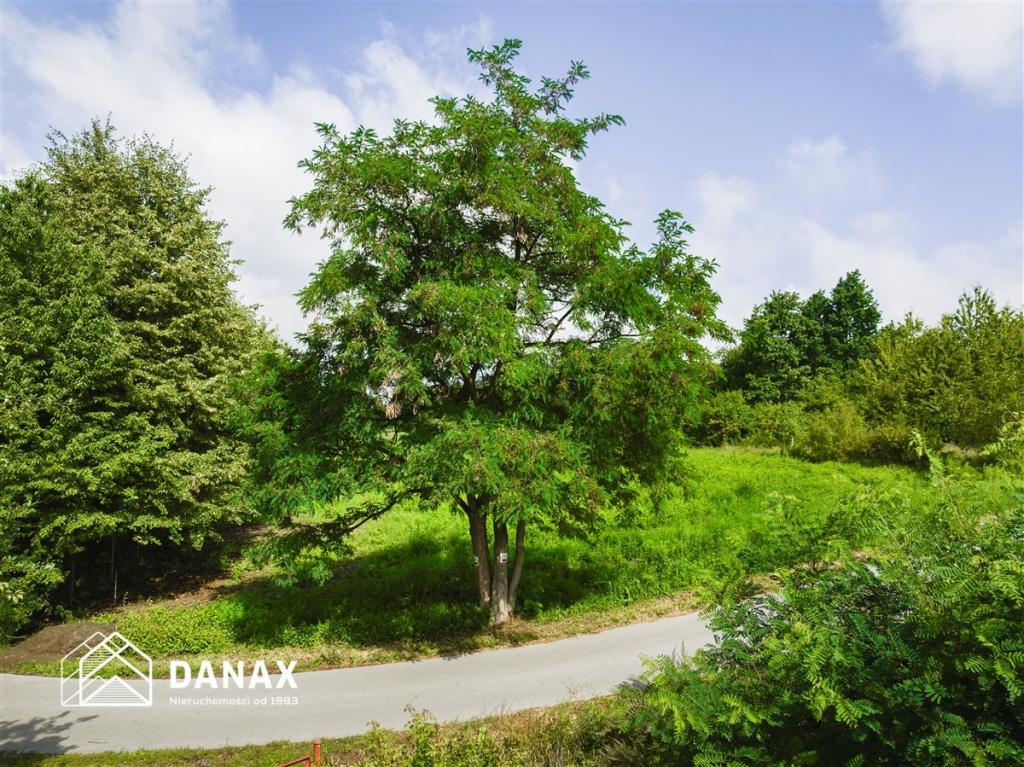 Działka budowlana 3000&nbsp;m², Zelków - zdjęcie 9